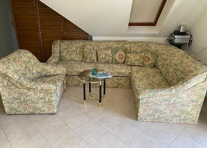 A- バラトンフレド